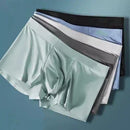 kit de cuecas (murilão)